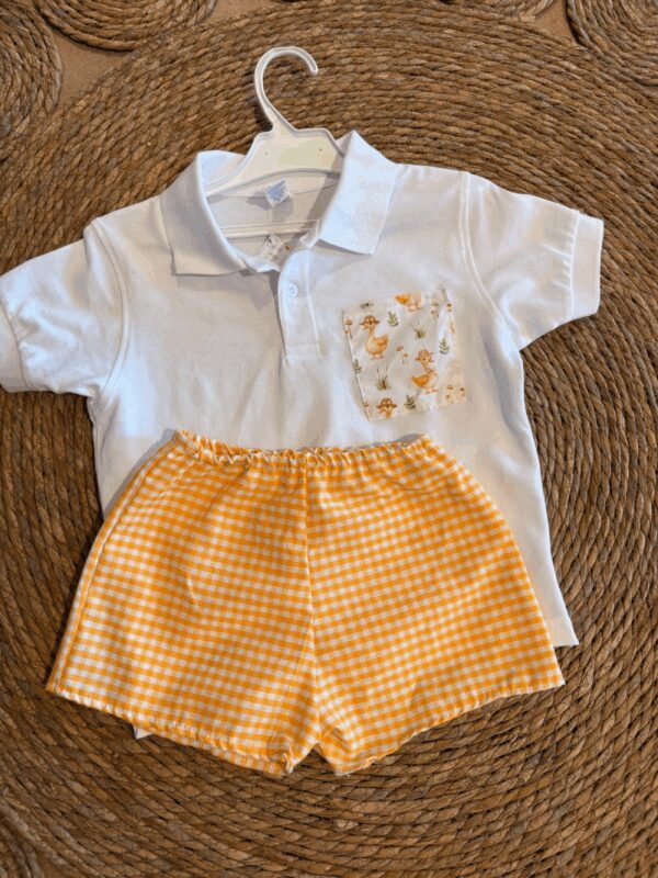 Conjunto niño pato